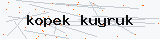 Güvenlik kodu